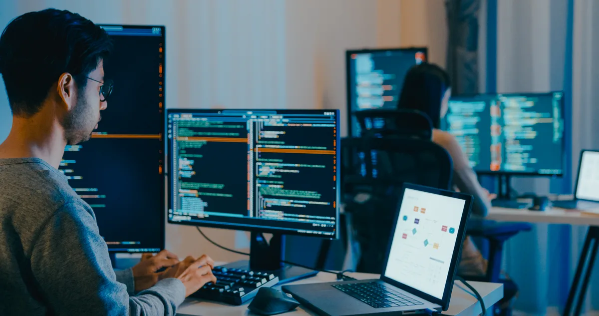 IT consultants collaborating over code