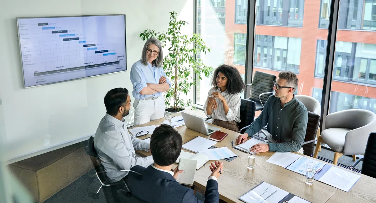 Consultant presenting in a boardroom