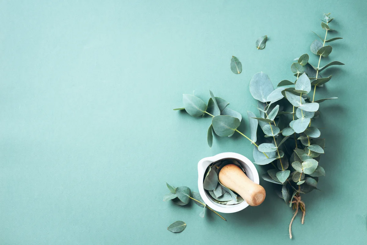 Naturopath consulting with a patient