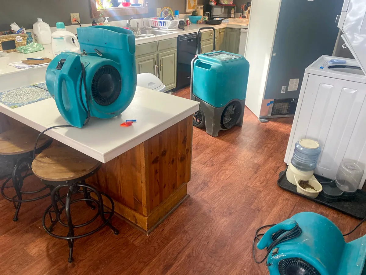 Restoration tech drying a water-damaged room